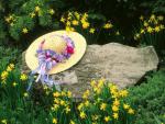 Among_the_Daffodils