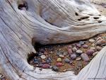 Nature_004
