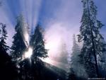 Nature_009