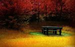 Nature_022