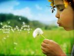 Nature_057