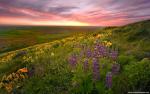 Nature_200