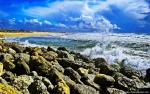 Nature_208