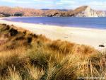 New_Zealand_087