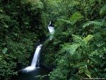 waterfalls_328