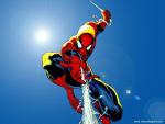 spider-man_113