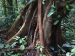 Indonesia_002