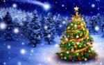 christmas_028