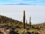 south_america_116