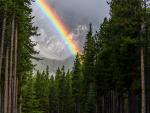 rainbow_43