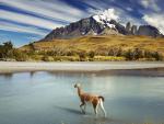 south_america_187