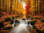 Natural landscapes