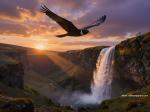 The World's Most Awesome Wallpapers