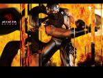 Ninja_Gaiden01