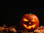 Pumpkin_28