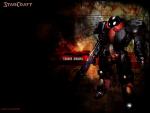 starcraft_11