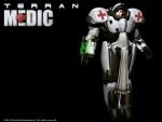 starcraft_20