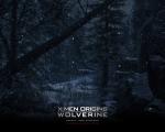 wolverine_03