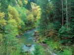 river_078