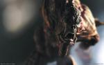 Monster_060
