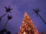 Christmas in Honolulu Oahu Hawaii